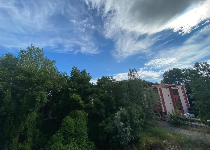 Anita A15 Family Sunny ساني بيتش