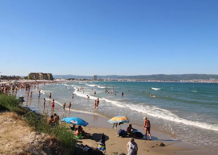 Anita A15 Family Sunny *