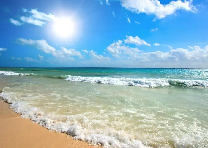 Anita A15 Family Sunny * ساني بيتش