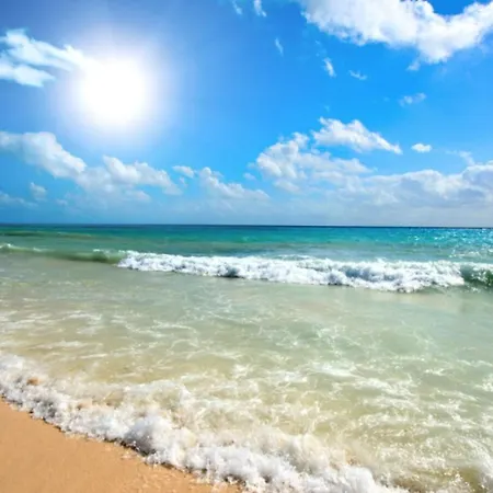 Anita A15 Family Sunny * 써니비치