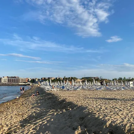 Anita A15 Family Sunny * 써니비치