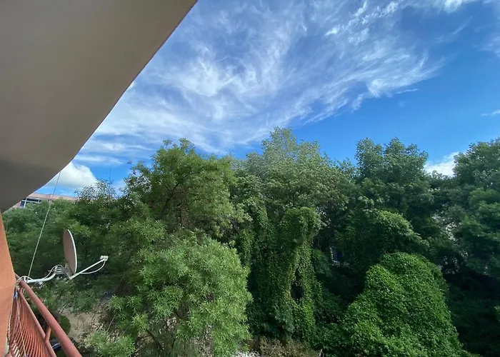 Anita A15 Family Sunny Сонячний Берег