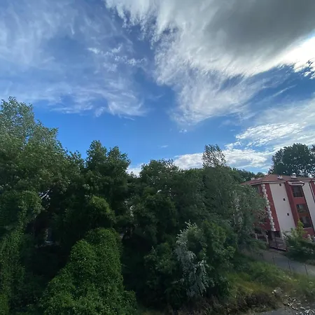 Anita A15 Family Sunny Slantchev Briag