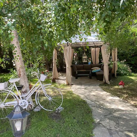 Anita A15 Family Sunny * サニービーチ