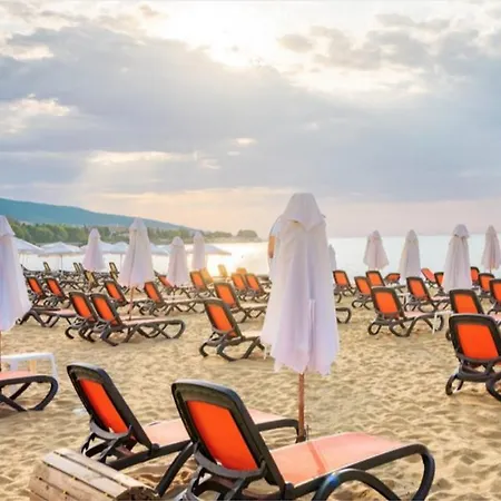 Anita A15 Family Sunny サニービーチ